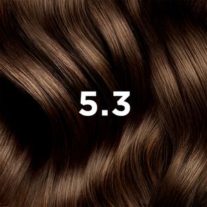 Phytocolor 5.3 Light Golden Brown